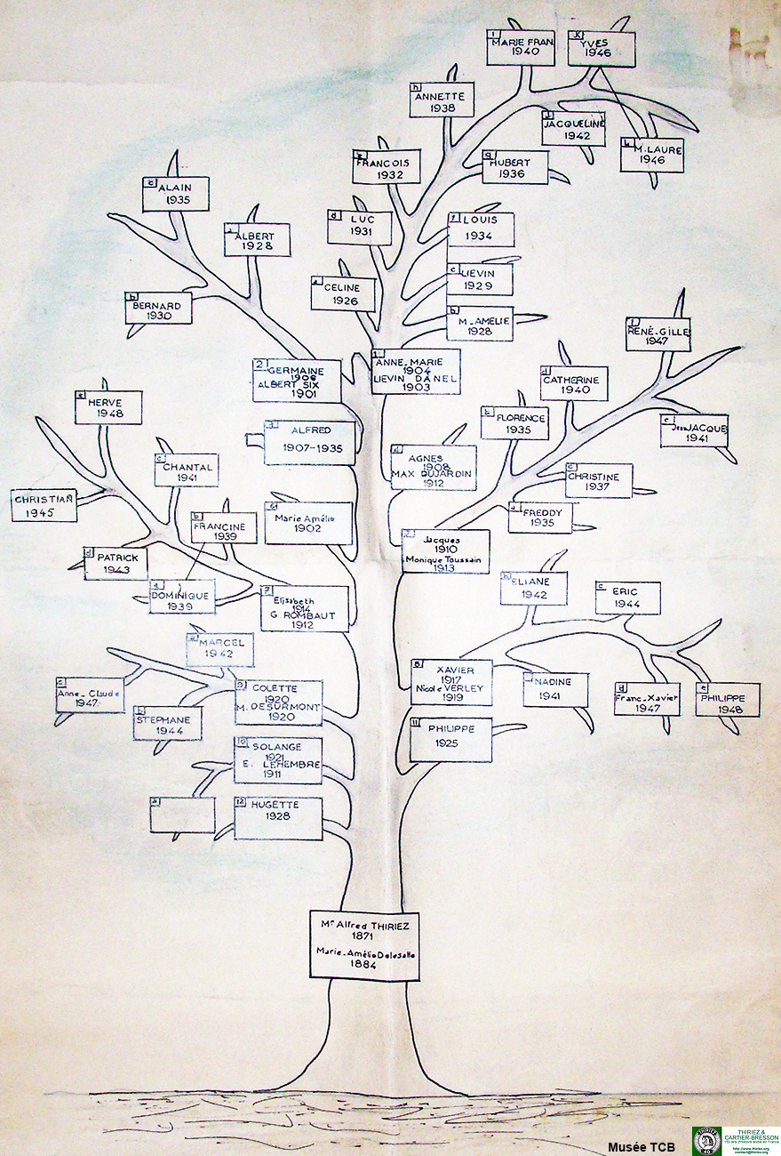 Arbre généalogique Alfred THIRIEZ-DELESALLE